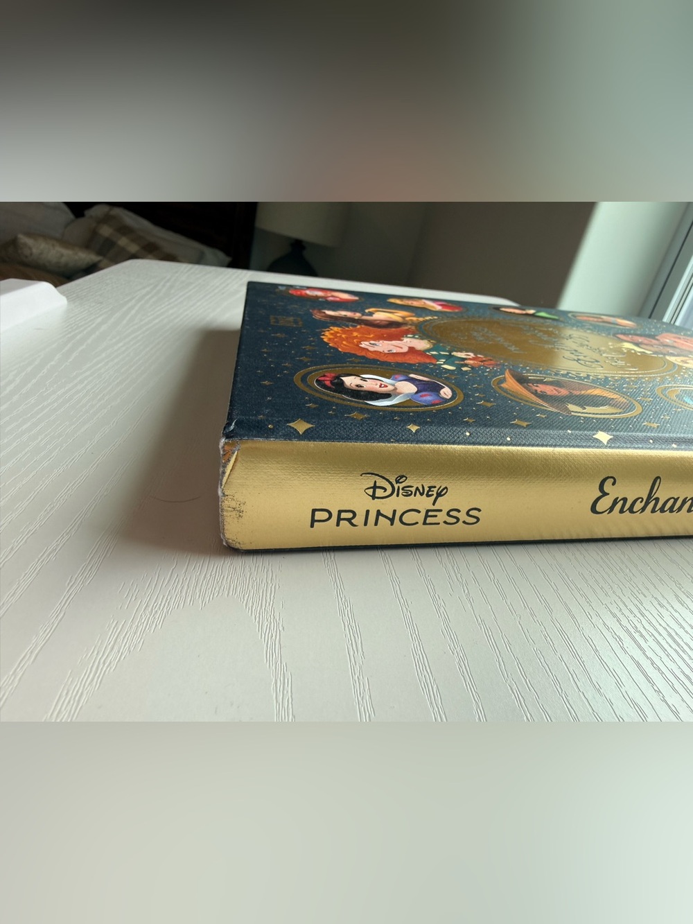 Disney Princess Enchanted Character Guide - Navy Blue and Gold Cover - Picture 4 of 5